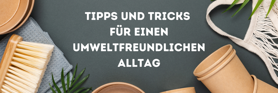 Nachhaltiger Lifestyle: Tipps und Tricks für einen umweltfreundlichen Alltag mit SYMYGY